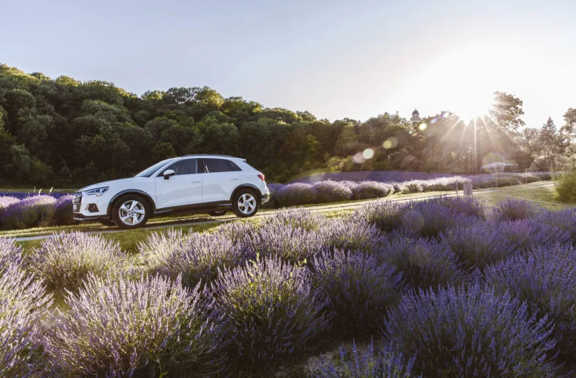 Audi Q3 Audi Hungaria